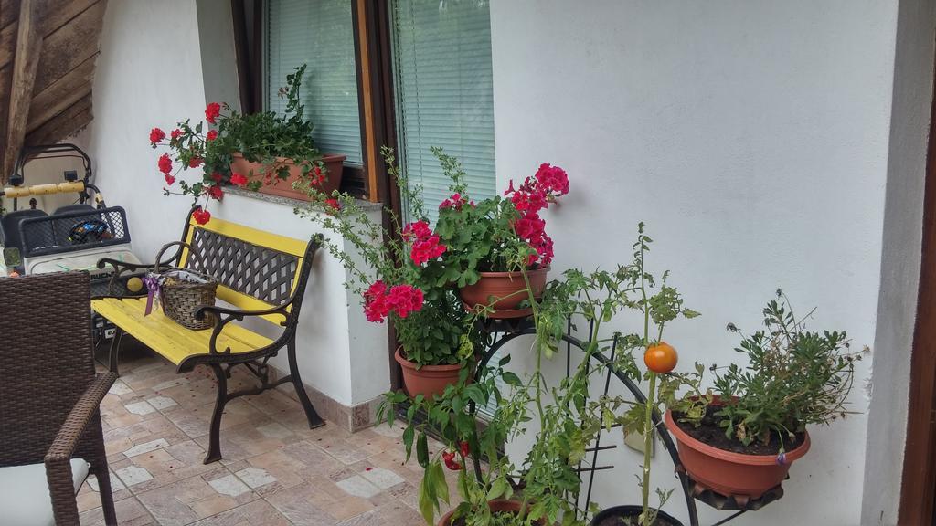 Darja Guesthouse Dob Kültér fotó